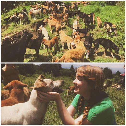 14322665_10210653048506858_4826379354800280720_n